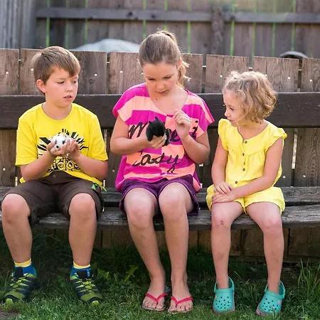 Gasthof Wechslerhof Flachau