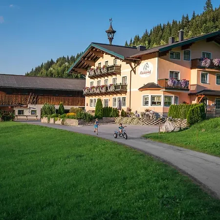 Wechslerhof Guest house Flachau