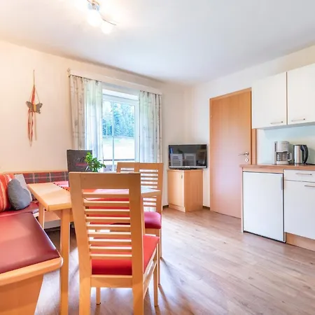Wechslerhof Guest house Flachau
