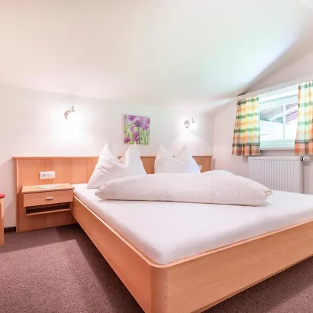 Guest house Wechslerhof Flachau