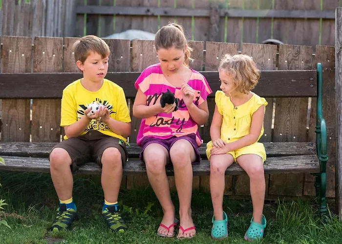 Gæstehus Wechslerhof Flachau