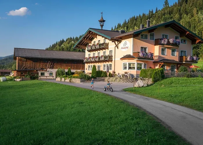 Wechslerhof Gæstehus Flachau